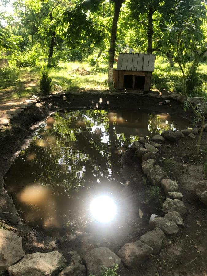 בית הארחה Karbi 	Guests House Qotukner מראה חיצוני תמונה