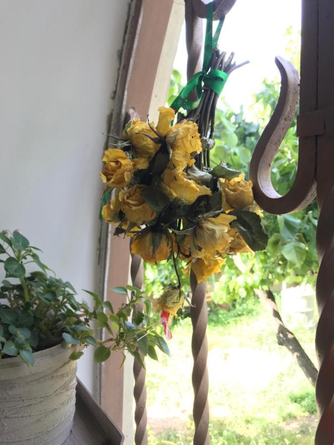 בית הארחה Karbi 	Guests House Qotukner מראה חיצוני תמונה